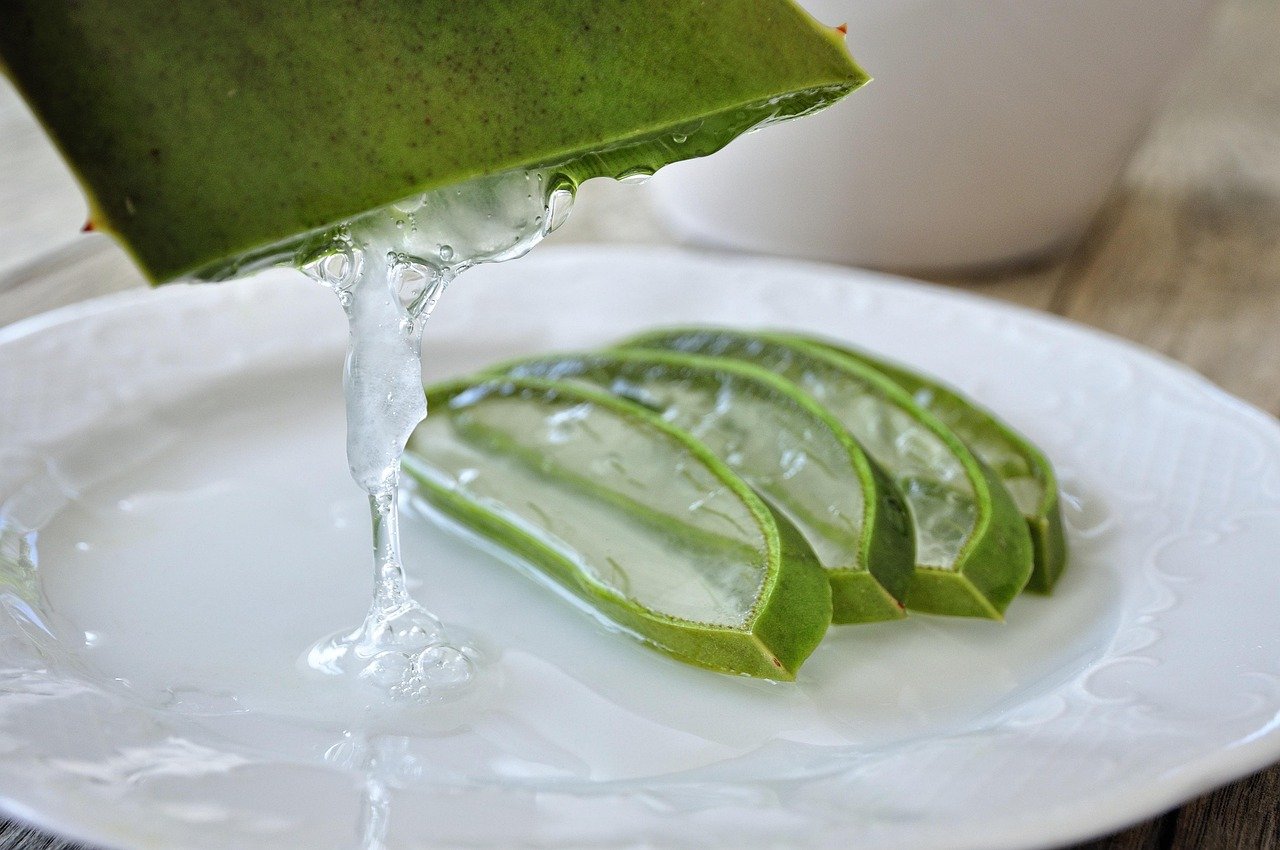 Aloe Vera for Burns and Skin Conditions (image credits: pixabay)