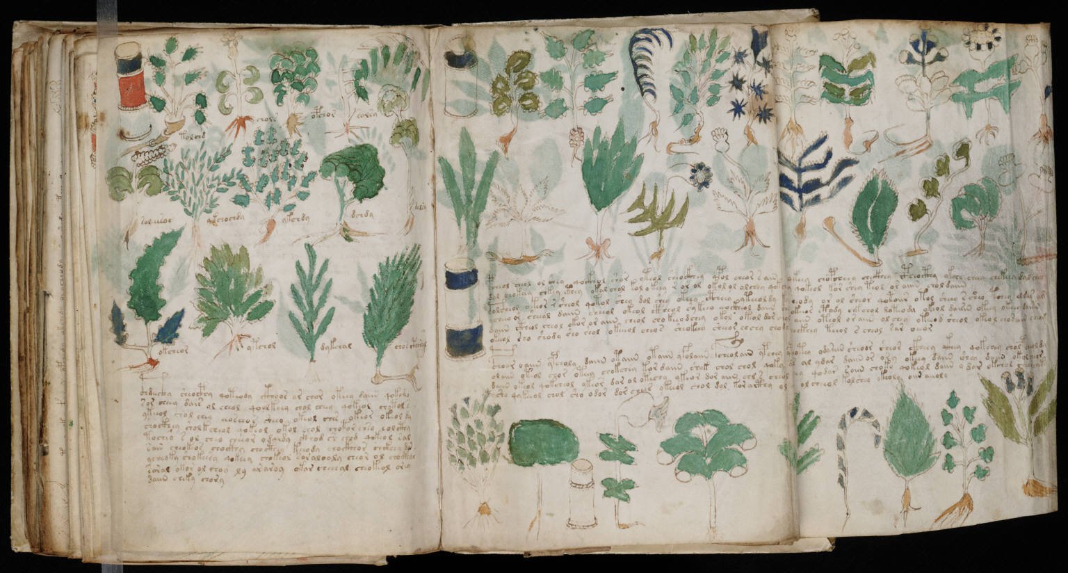 The Voynich Manuscript (image credits: wikimedia)