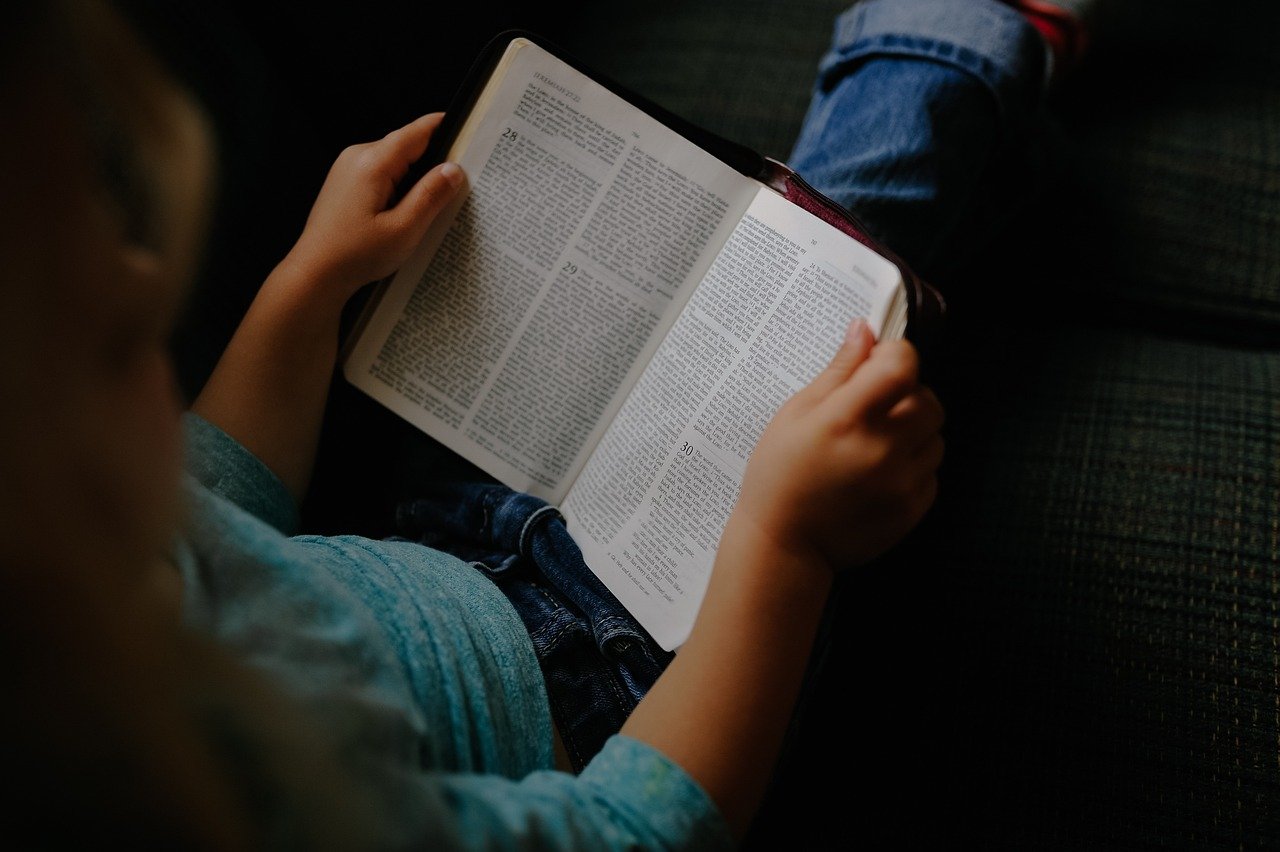 A Man Called Ove by Fredrik Backman (image credits: pixabay)