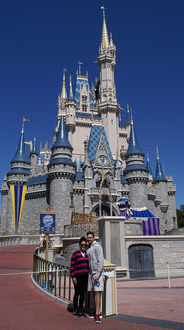 Walt Disney's Frozen Body (image credits: pixabay)