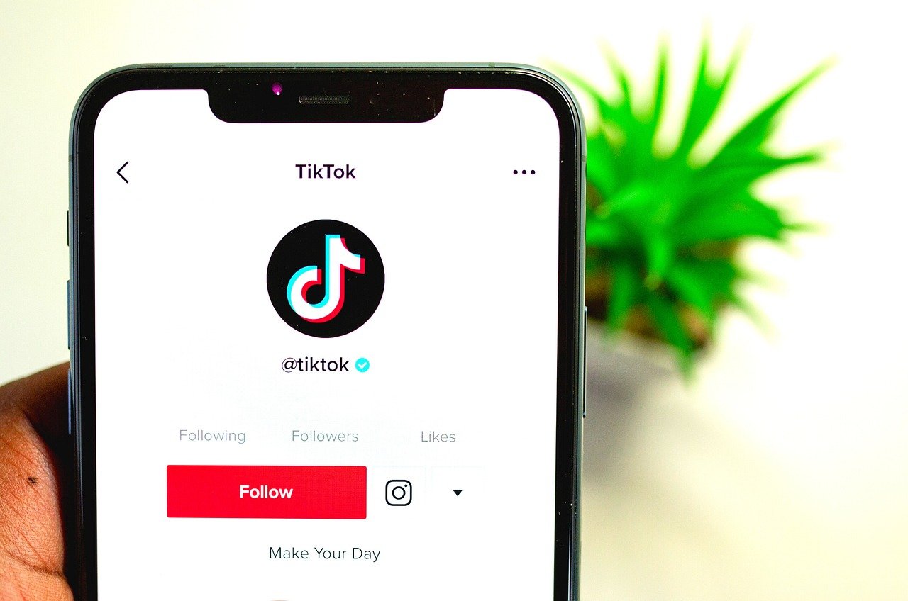 Built-In Music Integration (image credits: pixabay)