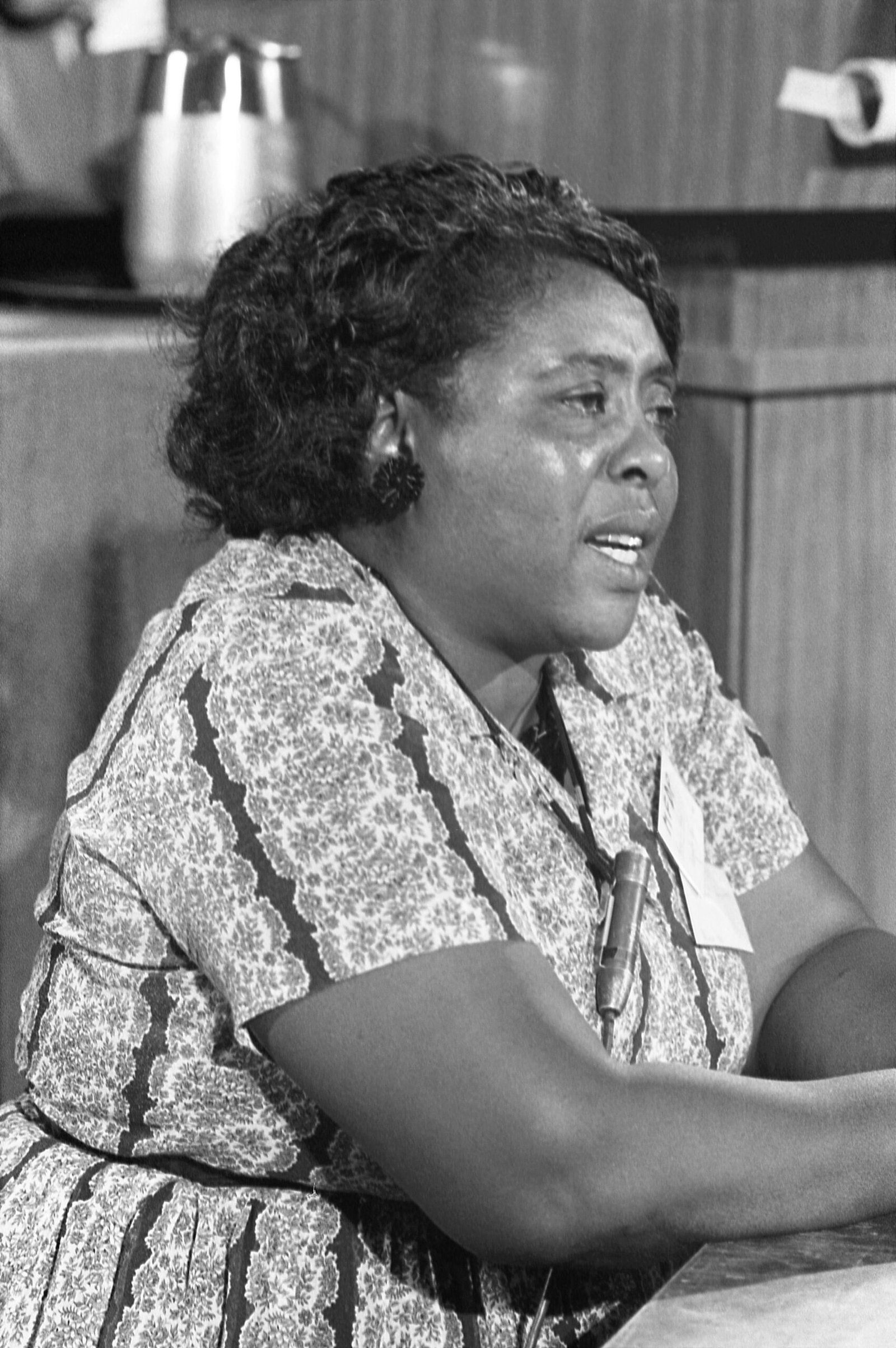 Fannie Lou Hamer: The Heart and Voice of the Civil Rights Movement (image credits: wikimedia)