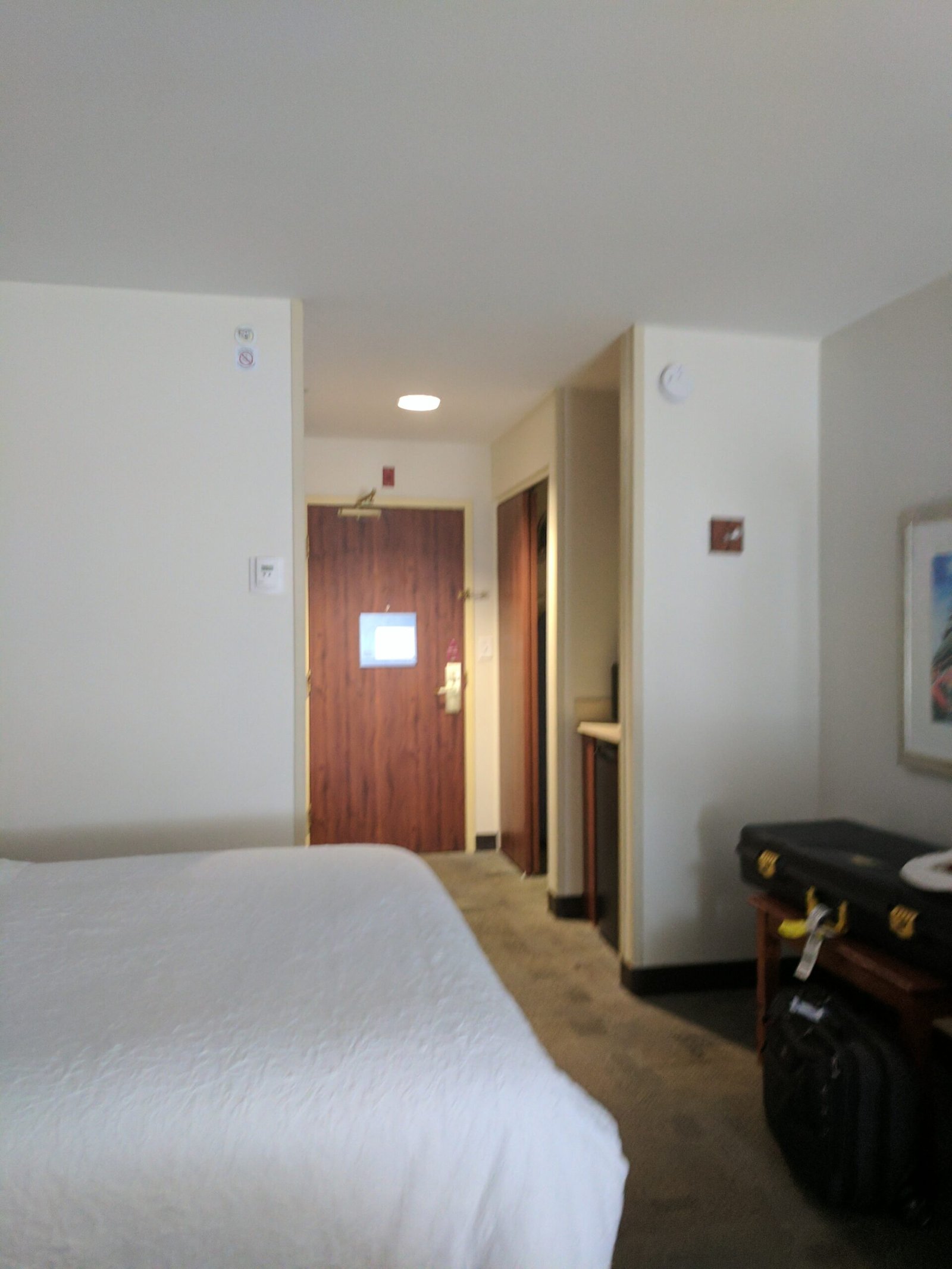 The Body Under the Hotel Bed (image credits: wikimedia)