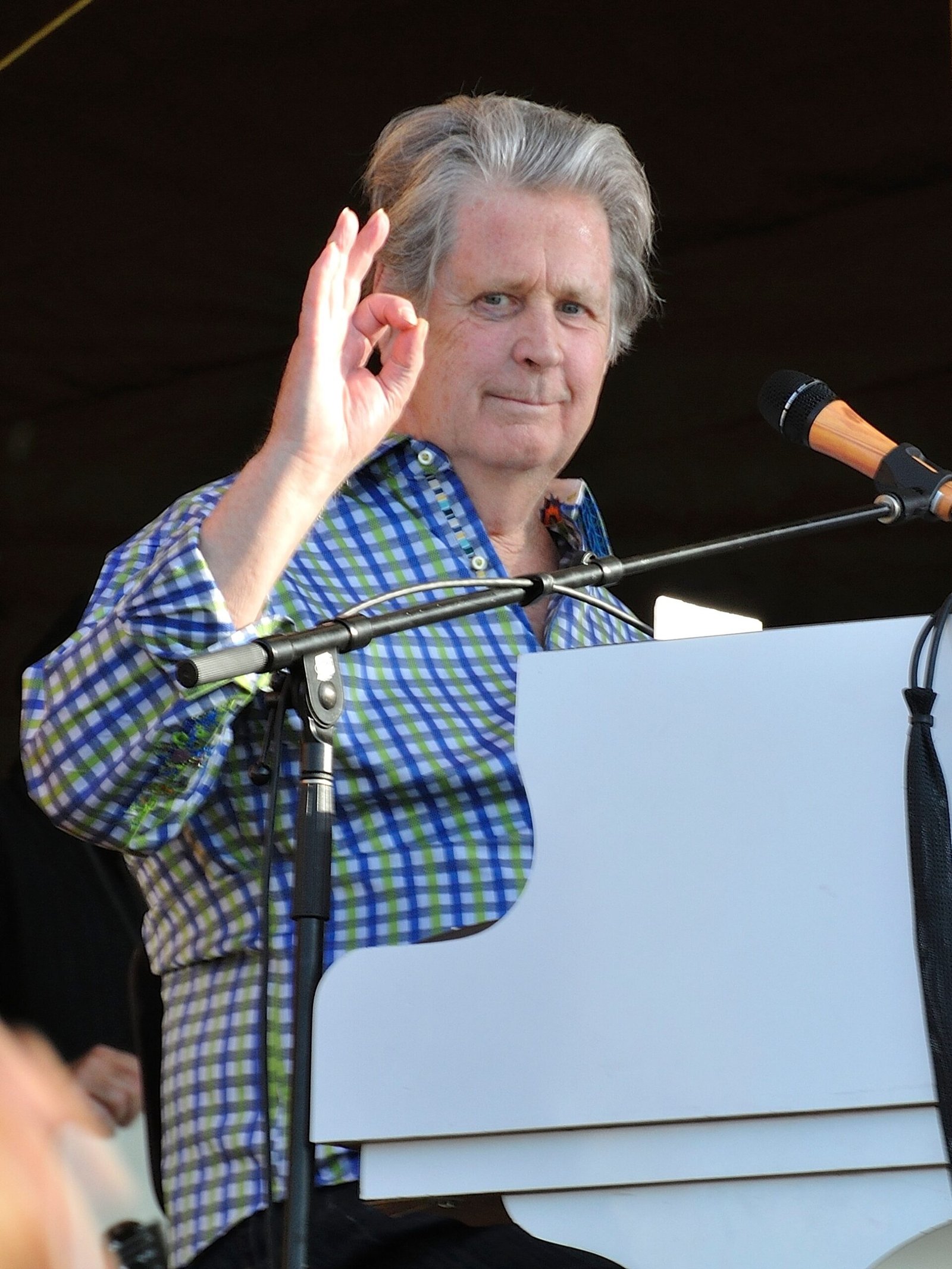 Love & Mercy (2014): The Two Faces of Brian Wilson (image credits: wikimedia)