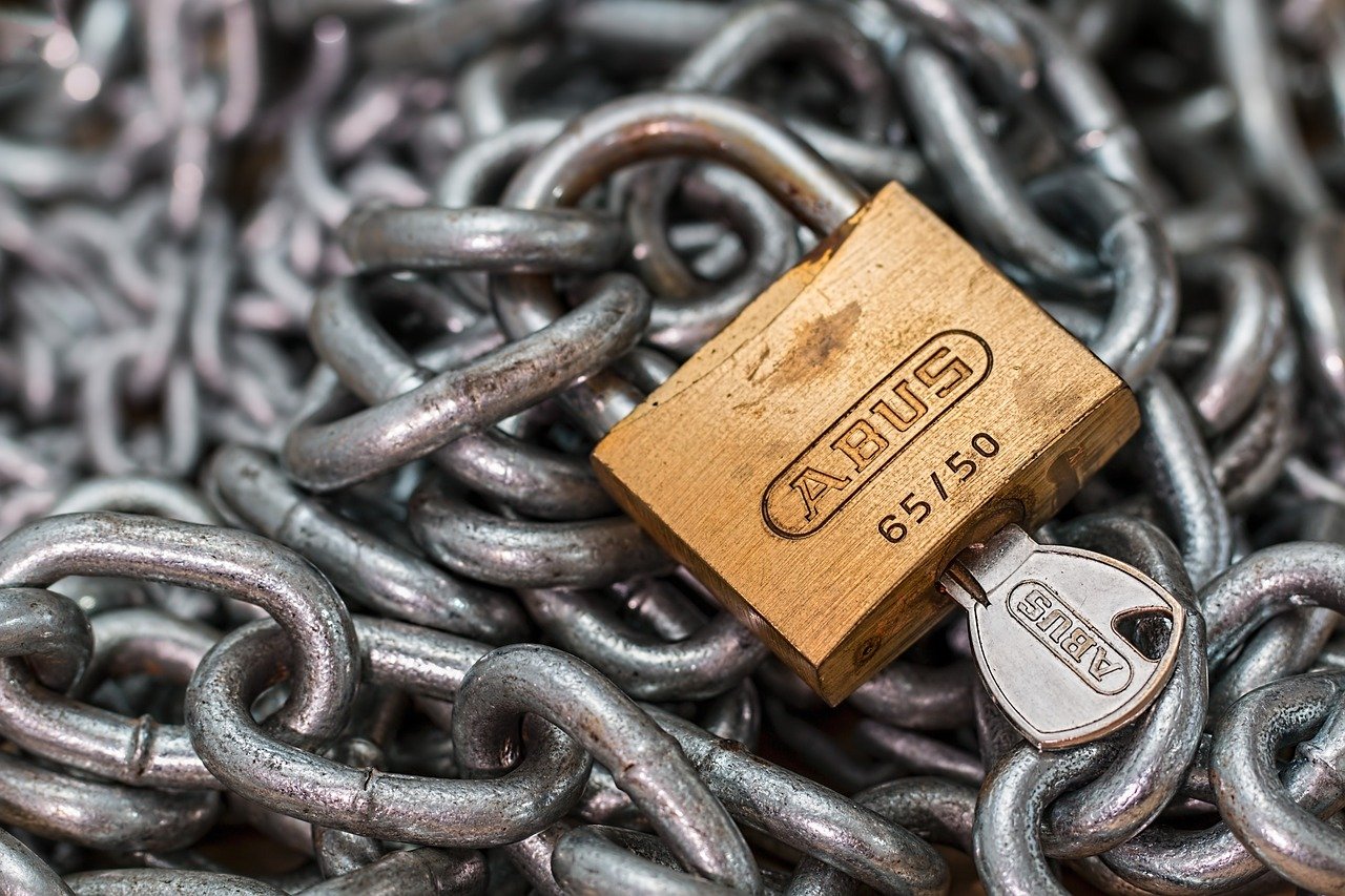 Locks and Keys: Guardians of Privacy and Security (image credits: pixabay)