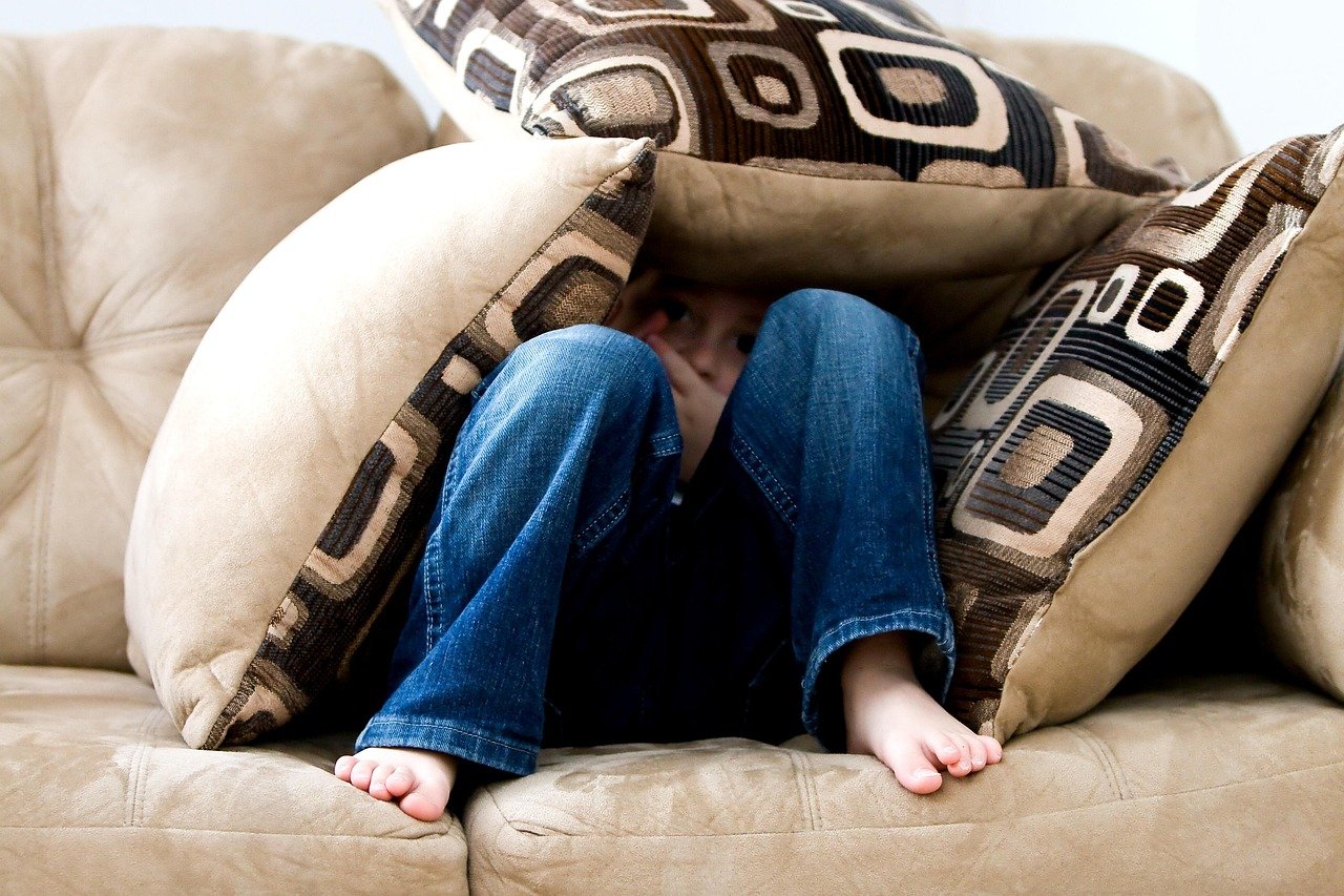 Safe Exposure to Fear (image credits: pixabay)