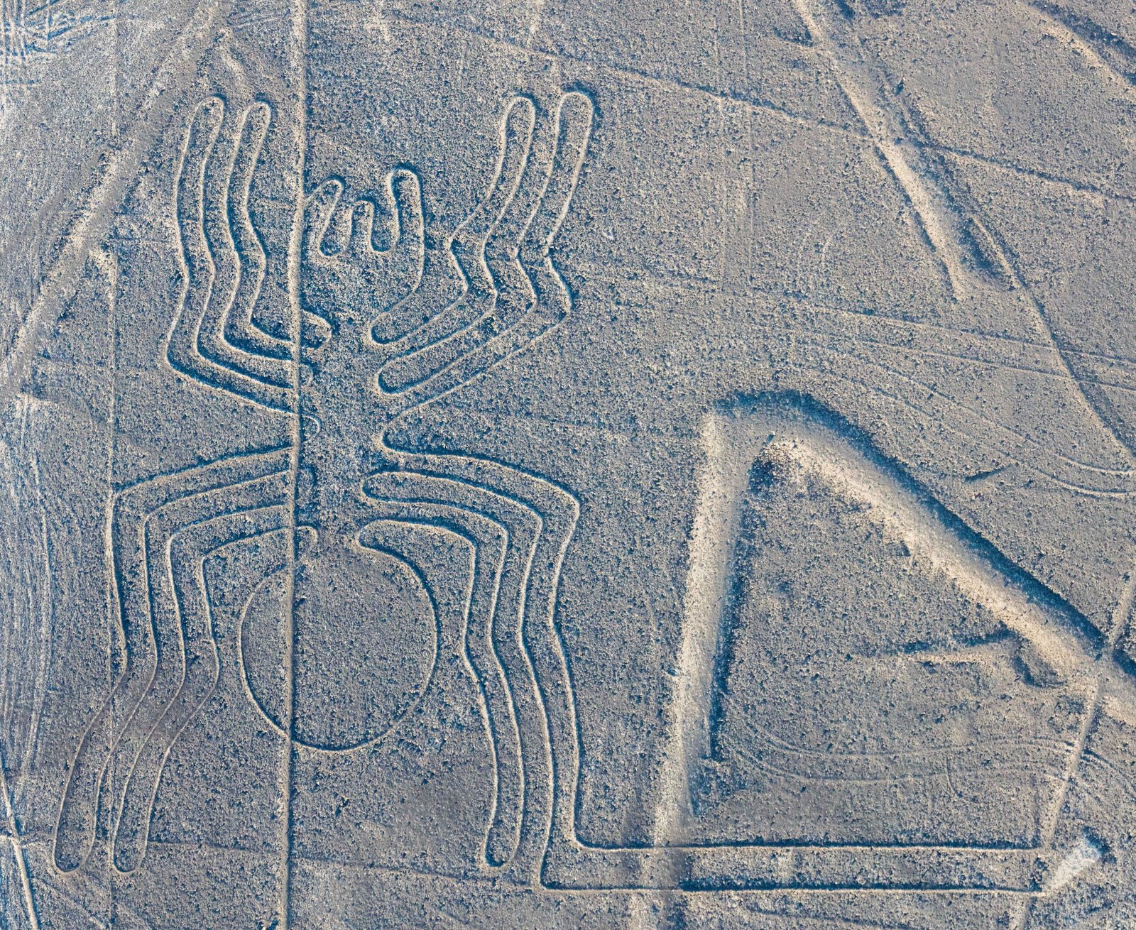 Nazca Lines (image credits: wikimedia)