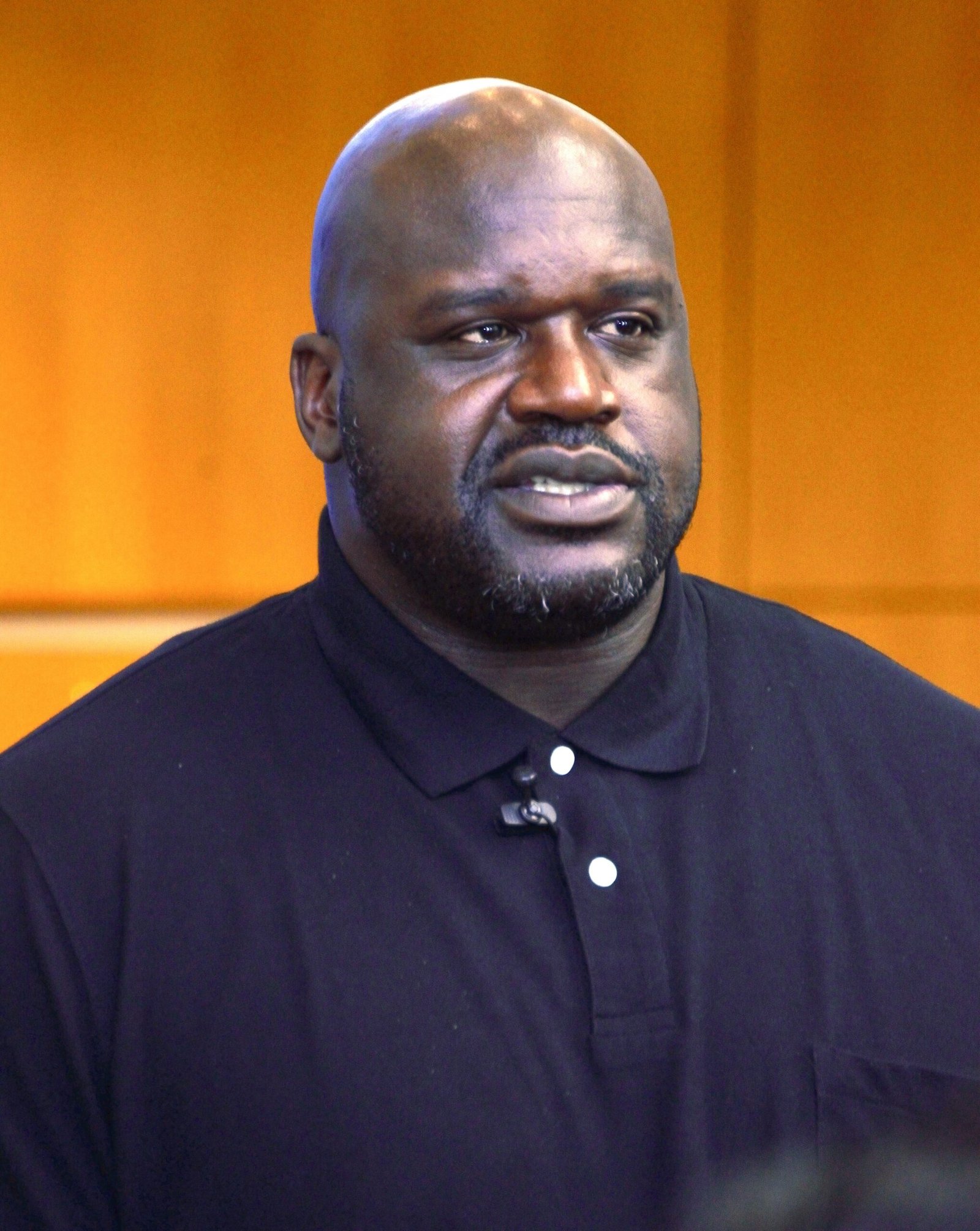 Shaquille O’Neal: The Dominator in the Paint (image credits: wikimedia)