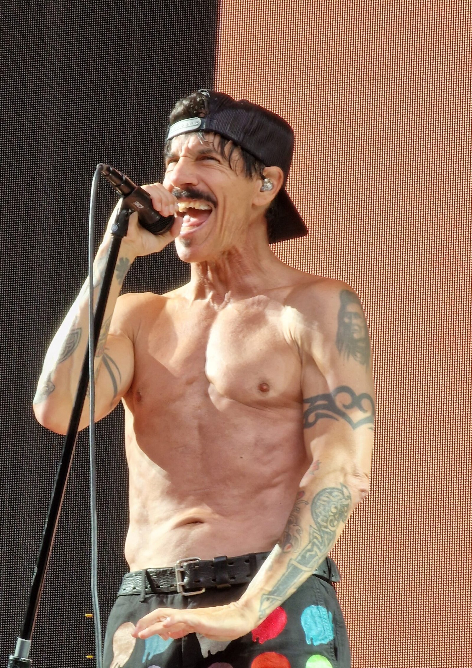 Anthony Kiedis: The Rockstar Who Kicked Heroin (image credits: wikimedia)