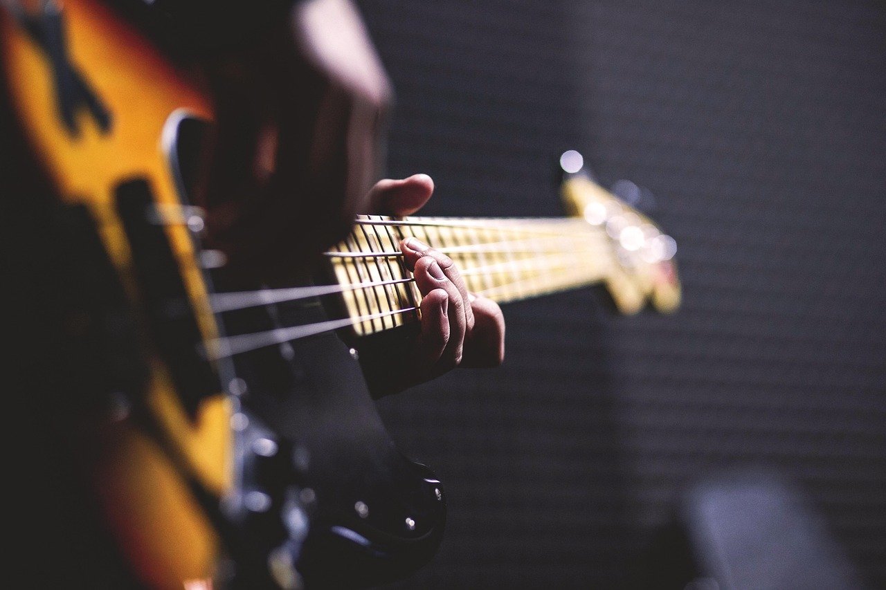 Bass Guitar (image credits: pixabay)