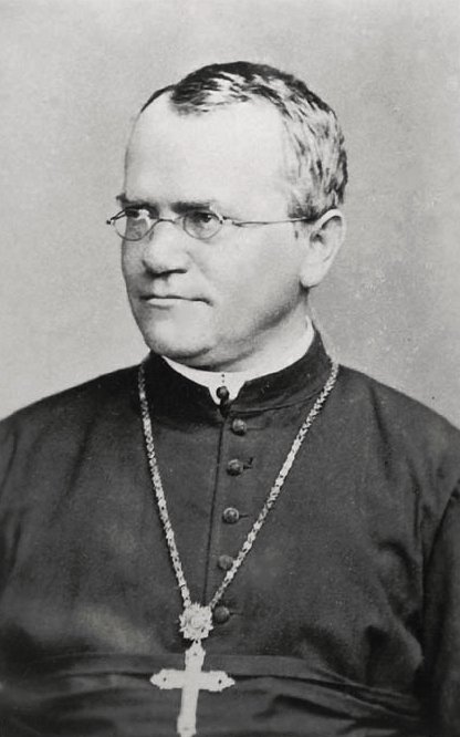 Gregor Mendel (1822–1884): The Garden Monk Who Fathered Genetics (image credits: wikimedia)