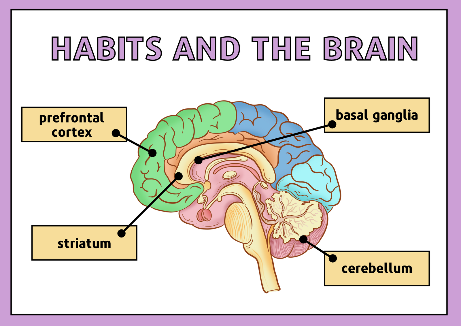The Power of Habit (image credits: wikimedia)