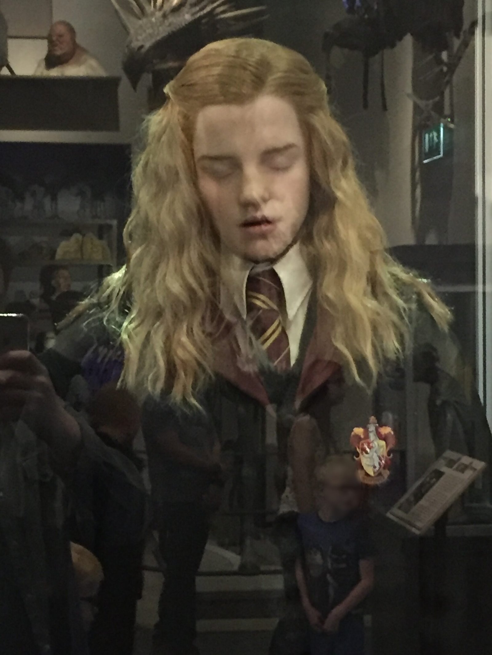 Hermione Granger – Harry Potter series by J.K. Rowling (image credits: wikimedia)