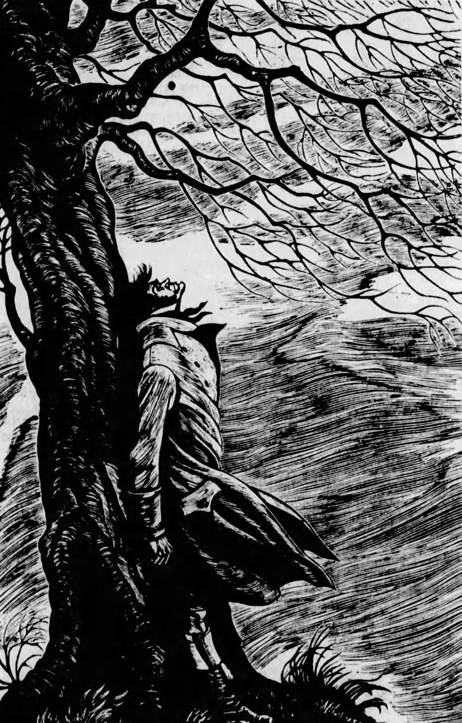 Heathcliff – Wuthering Heights by Emily Brontë (image credits: wikimedia)