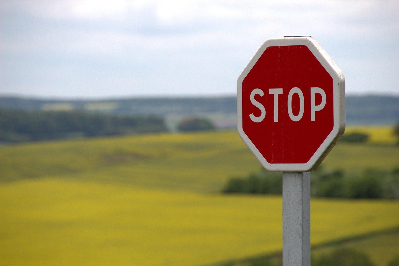 Pull Out All the Stops (image credits: pixabay)