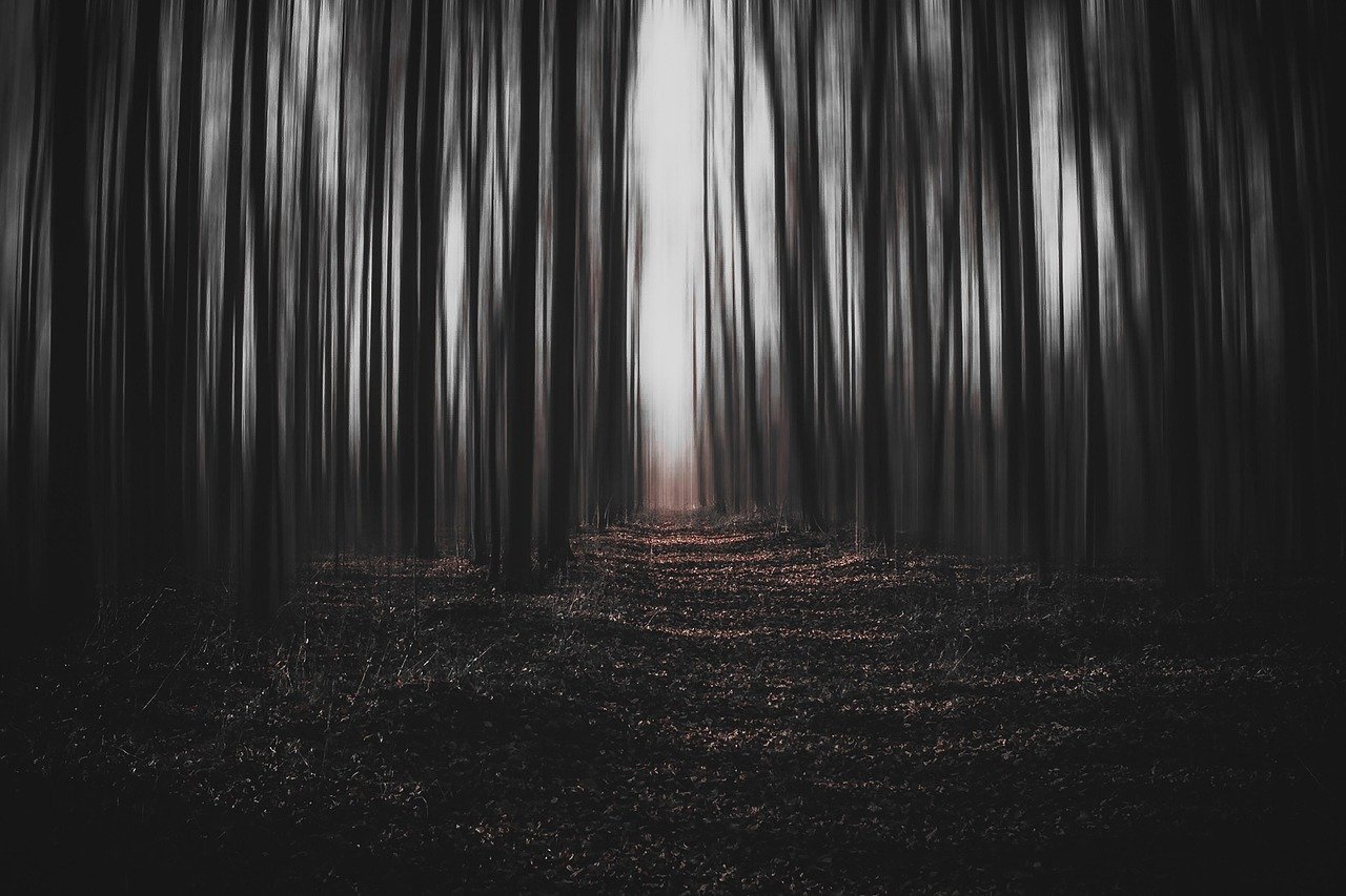 The Ritual by Adam Nevill (image credits: pixabay)