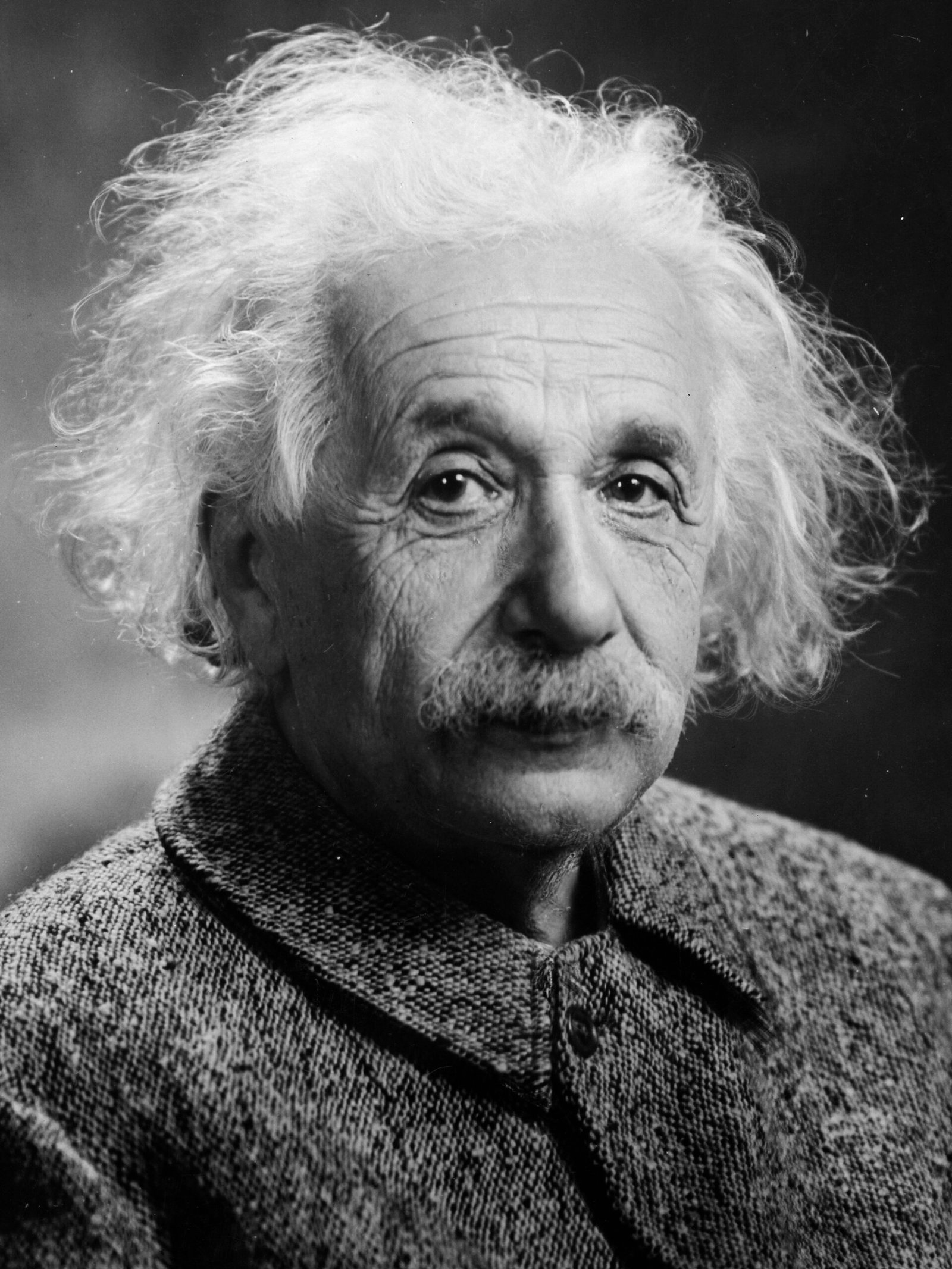 6. Albert Einstein (image credits: wikimedia)
