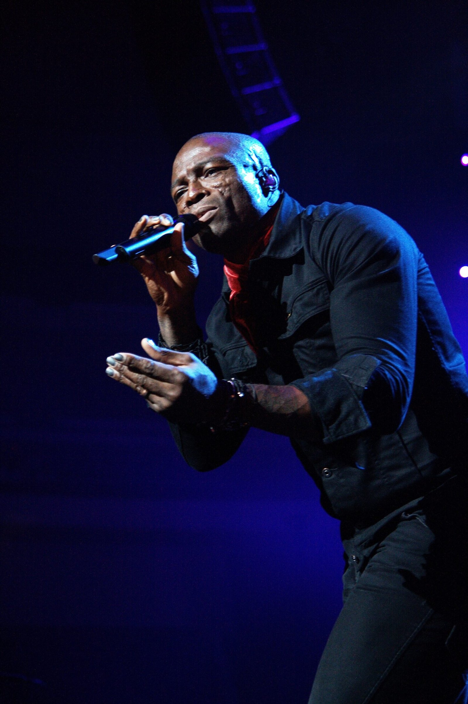 Seal: The Slow Fade of a Velvet Voice (image credits: wikimedia)