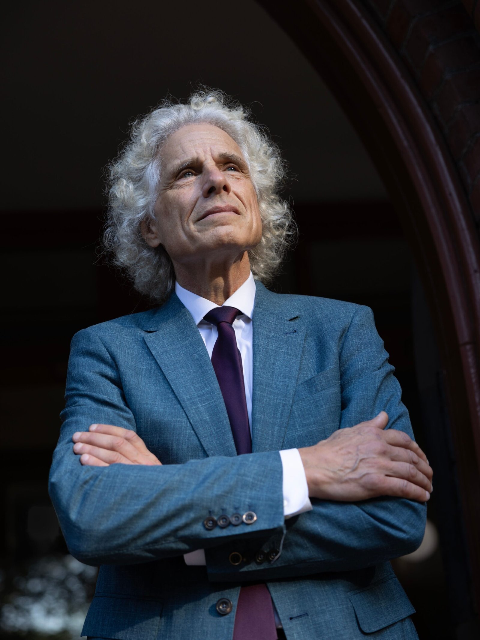 The Language Instinct by Steven Pinker (image credits: wikimedia)