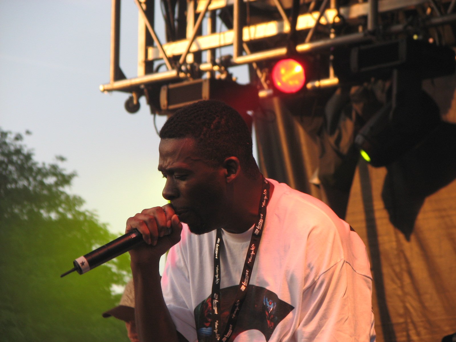Pitchfork Music Festival: The Music Snob (In the Best Way) (image credits: wikimedia)