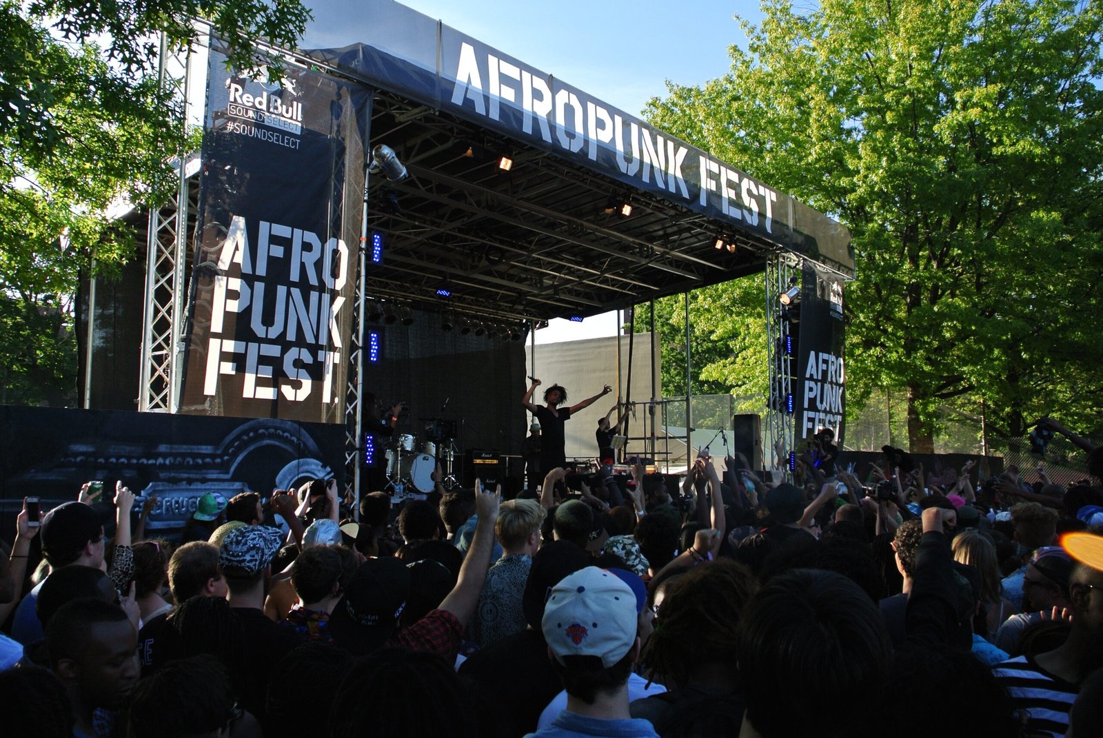 Afropunk Festival: The Empowered Individual (image credits: wikimedia)