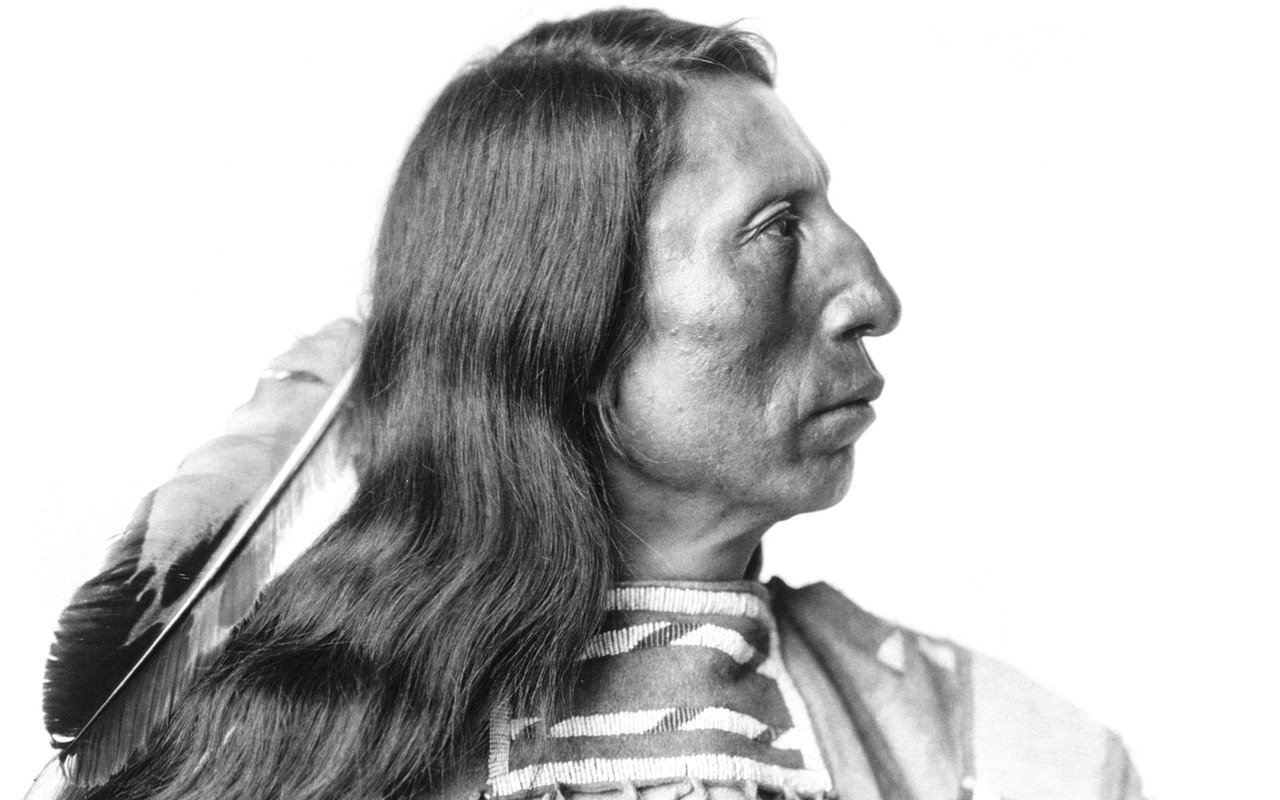 Bury My Heart at Wounded Knee by Dee Brown (image credits: pixabay)