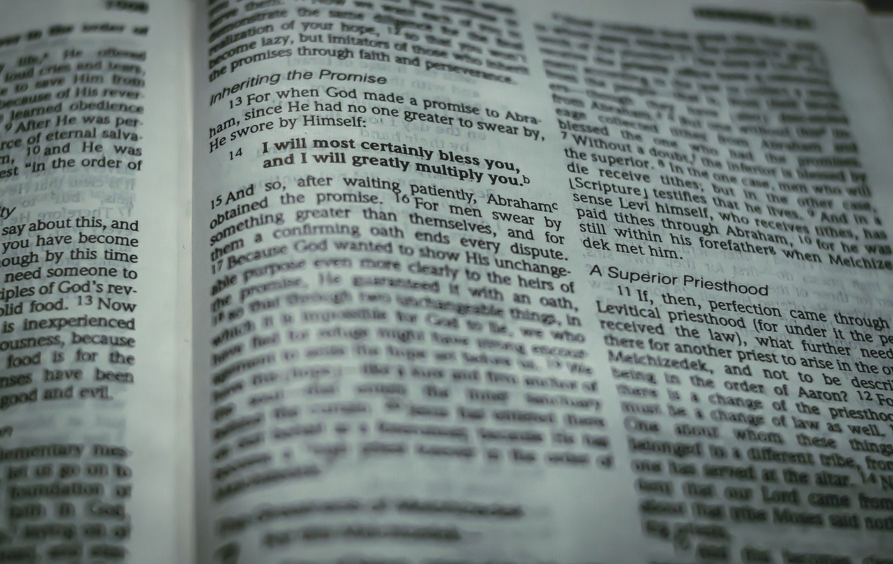 The Satanic Verses by Salman Rushdie (image credits: pixabay)