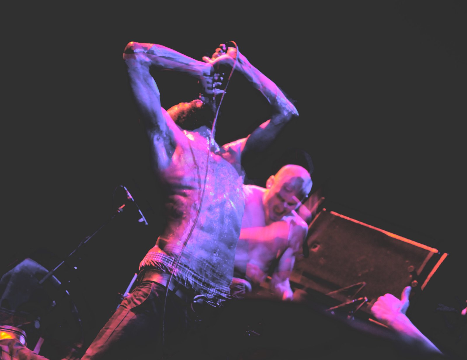 Death Grips – Lollapalooza (2013) (image credits: wikimedia)