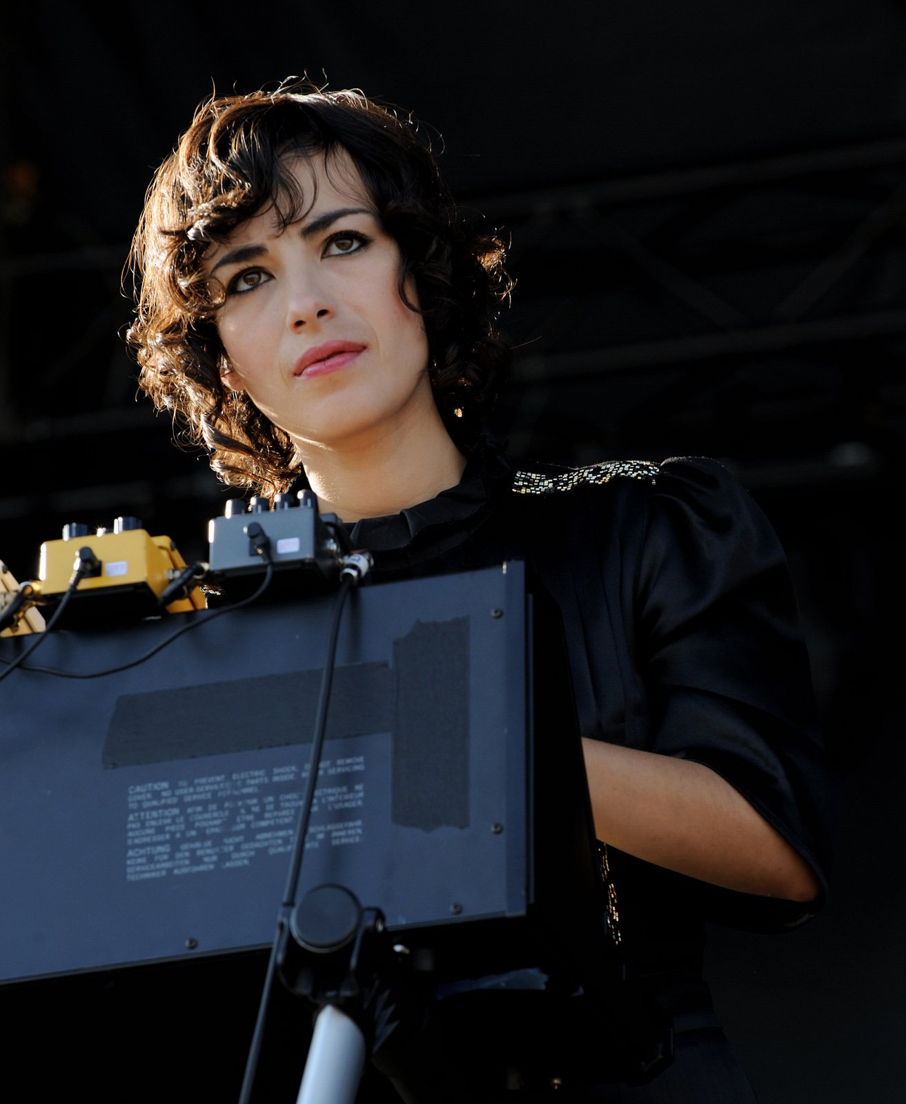 Mira Aroyo (Ladytron) – Geneticist (image credits: wikimedia)
