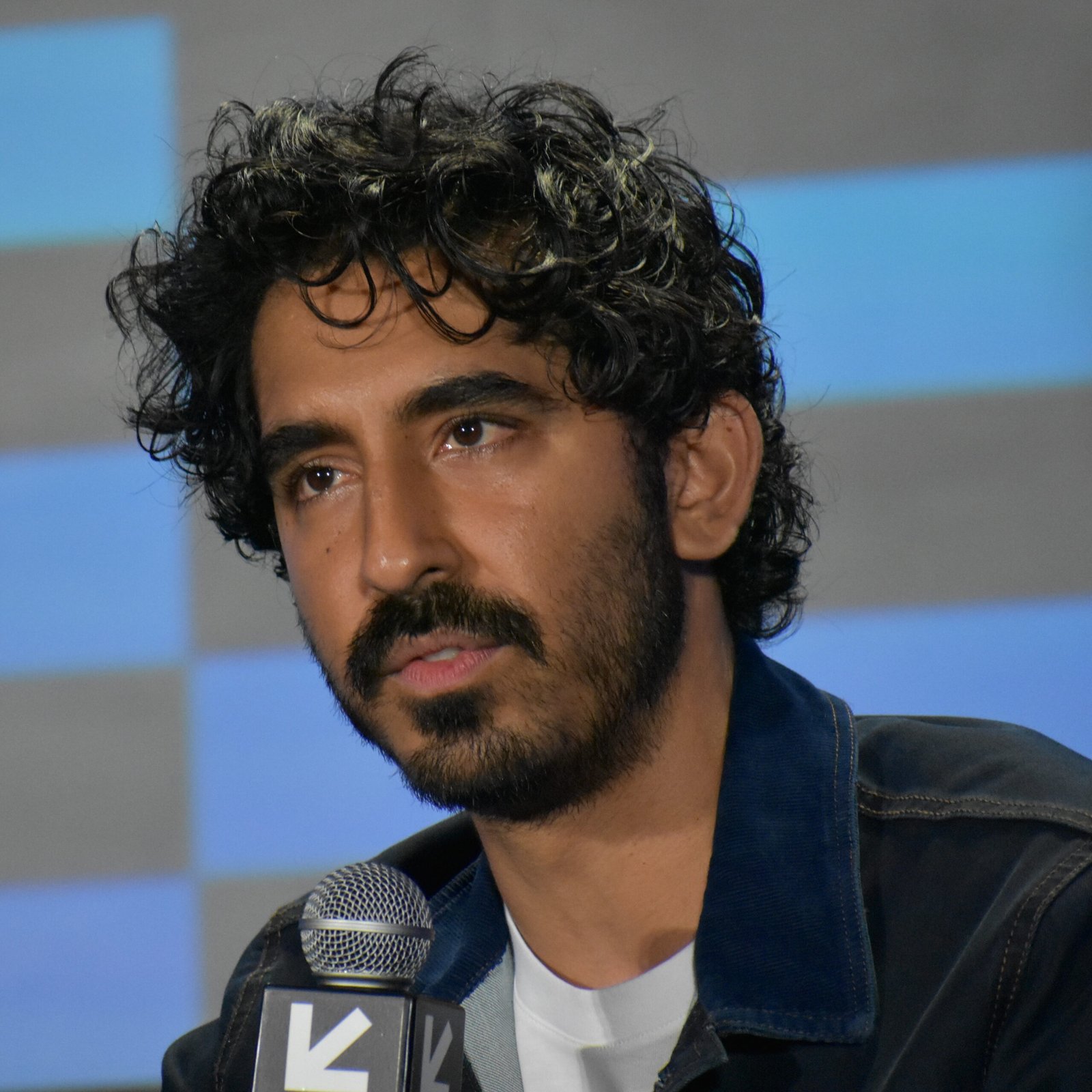 Dev Patel: The British-Asian Star with Global Appeal (image credits: wikimedia)