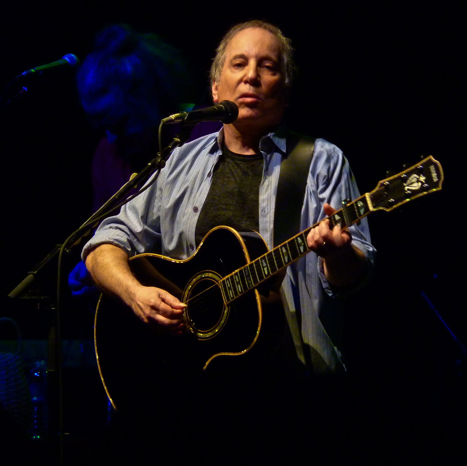 Paul Simon – The Poet of Pop (image credits: wikimedia)