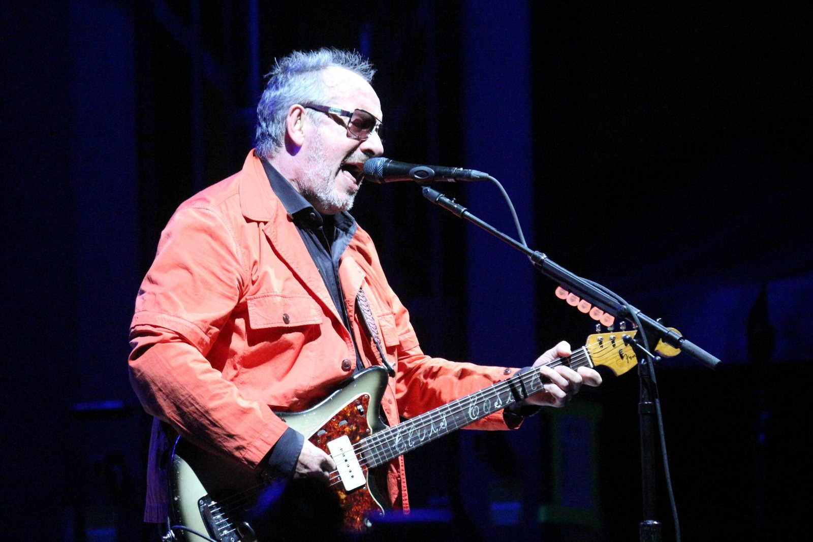 Elvis Costello – The Angry Intellectual (image credits: wikimedia)