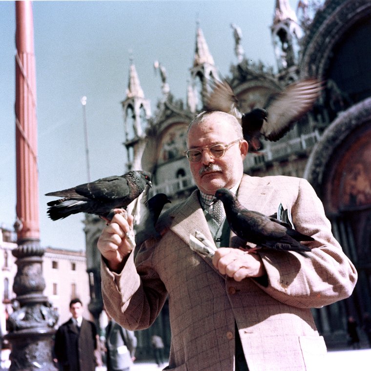 Don’t Feed Pigeons in Venice (Italy) (image credits: wikimedia)