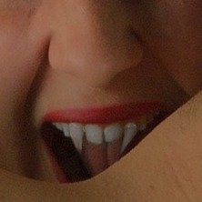 “I want to suck your blood.” (image credits: wikimedia)