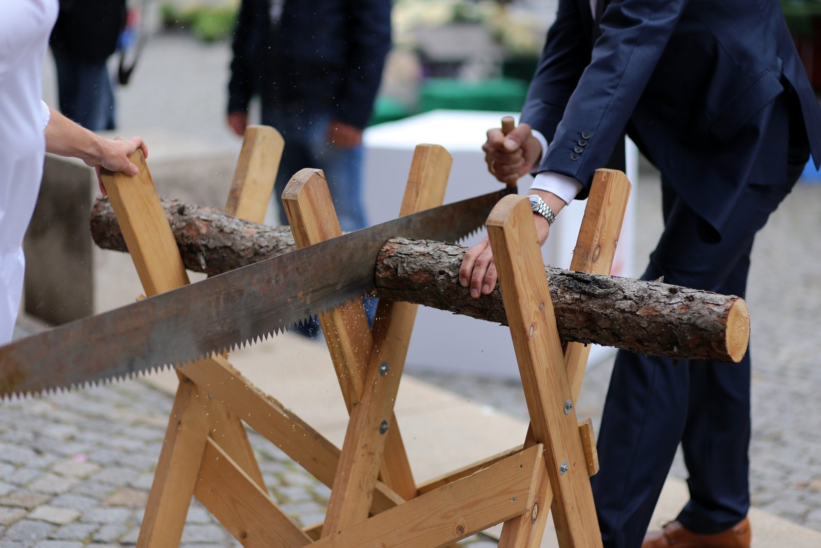 10. Sawing a Log in Germany (image credits: wikimedia)