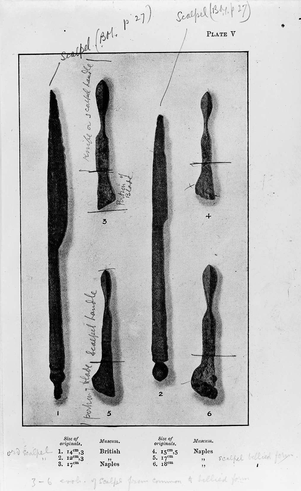 Egyptian Surgical Instruments (image credits: wikimedia)
