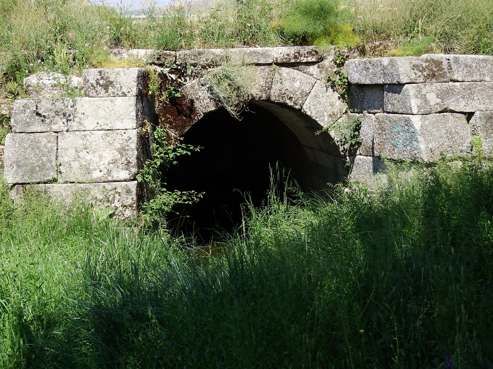 Roman Sanitation Systems (image credits: wikimedia)