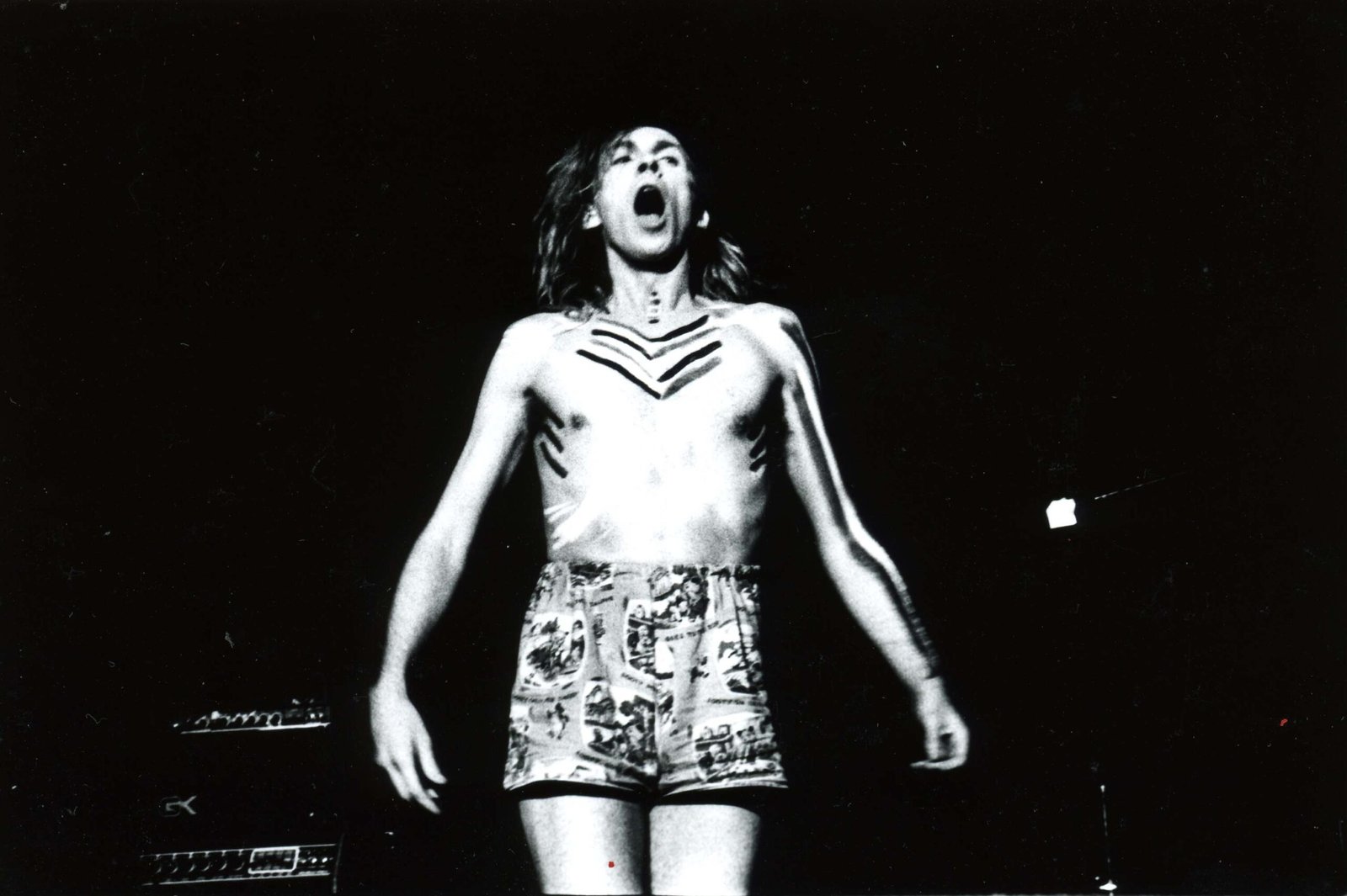The Teardrop Explodes: Psychedelic Pop for a New Generation (image credits: wikimedia)