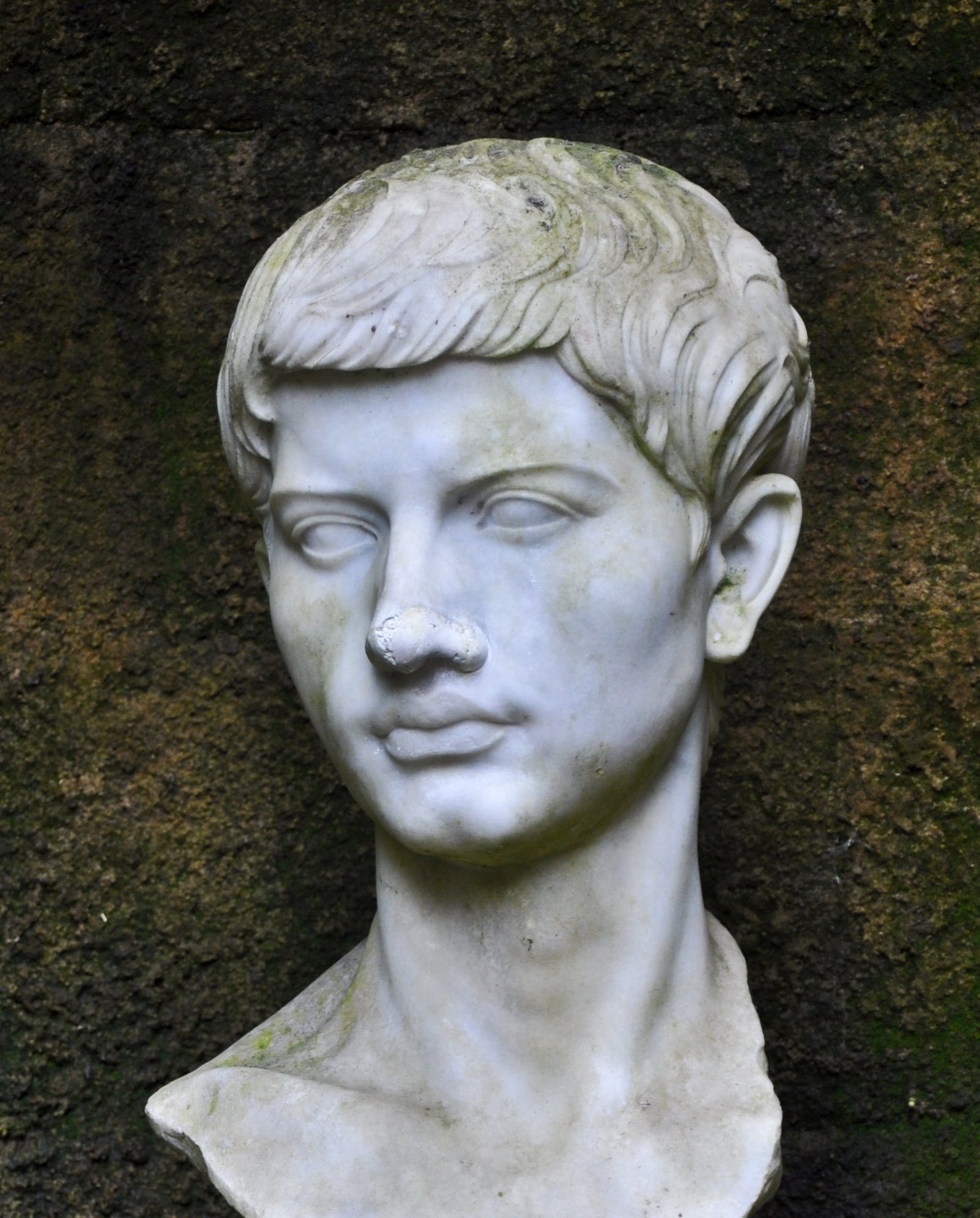 Virgil: The Aeneid’s Brush with Oblivion (image credits: wikimedia)