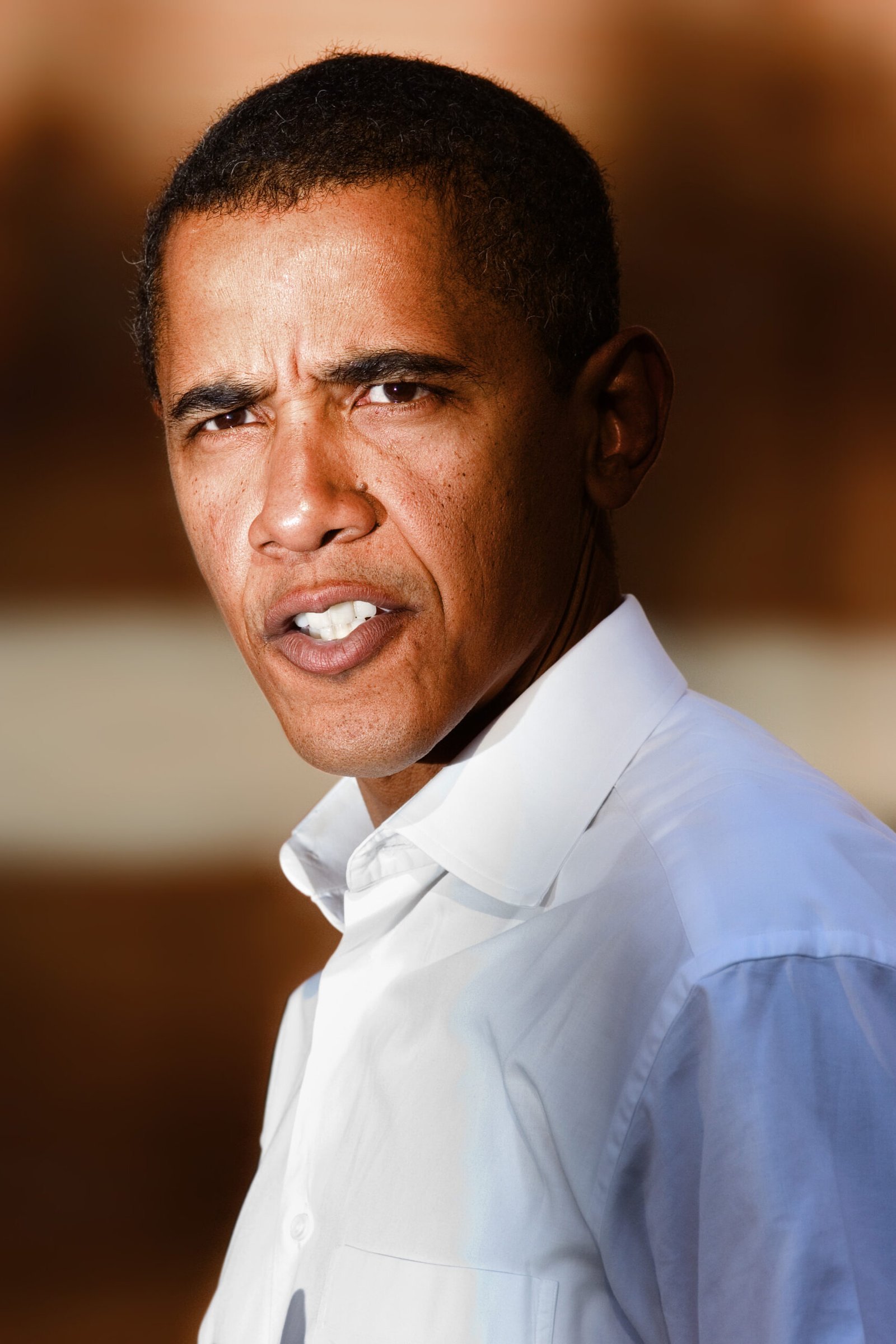 2008 — Barack Obama: The Audacity of Hope (image credits: wikimedia)
