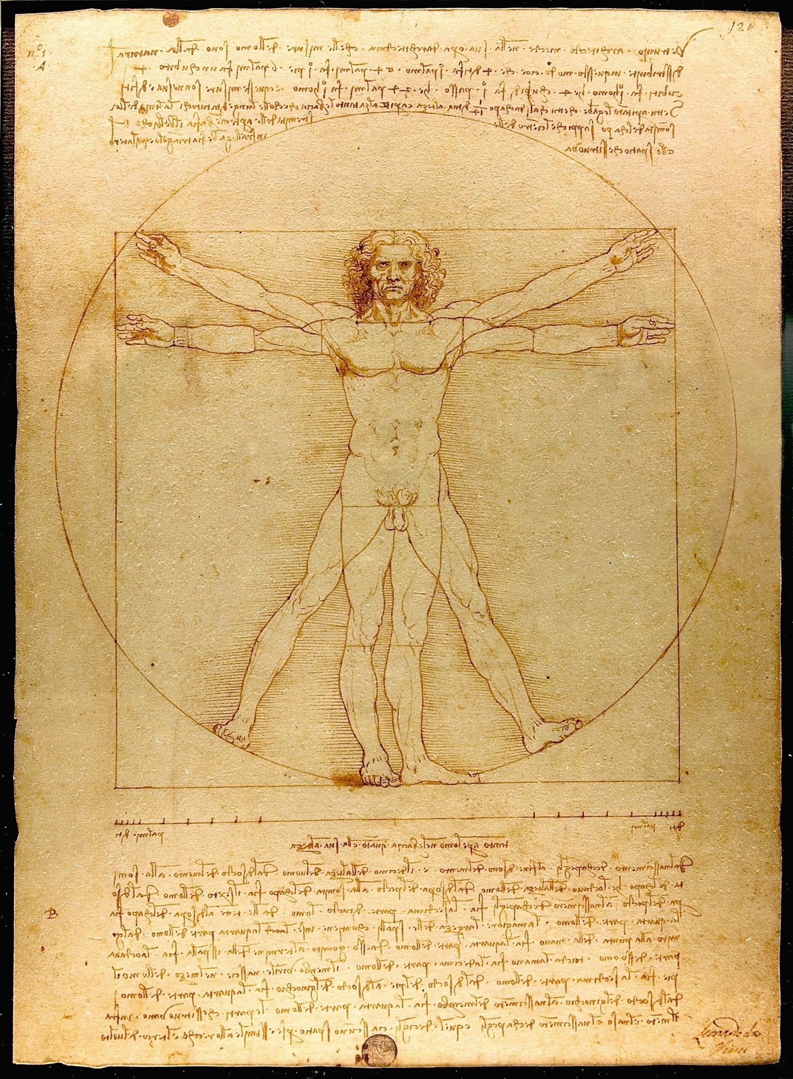6. Renaissance Ignites a Cultural Firestorm (image credits: wikimedia)