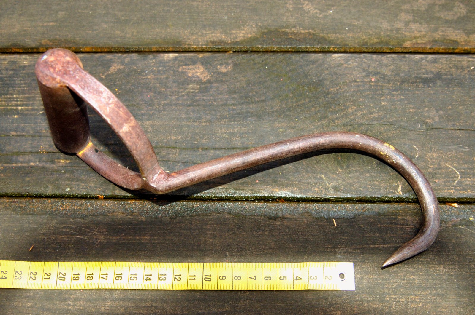 The Hook-Handed Killer (image credits: wikimedia)