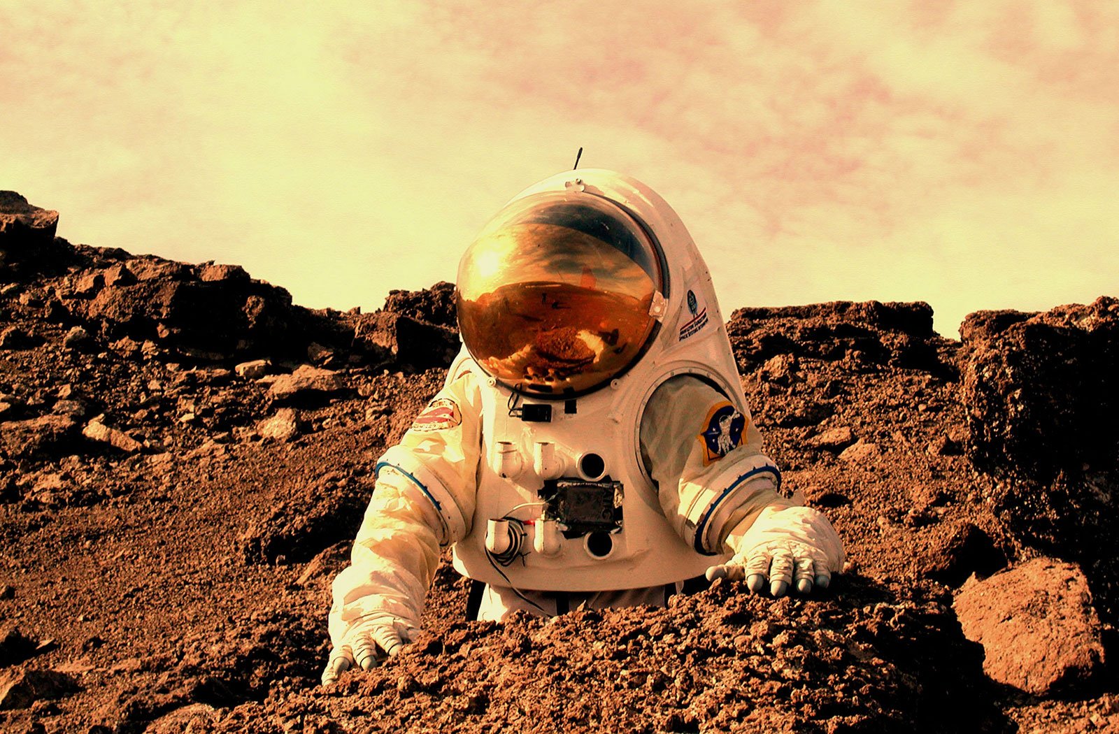 The Martian by Andy Weir (image credits: wikimedia)