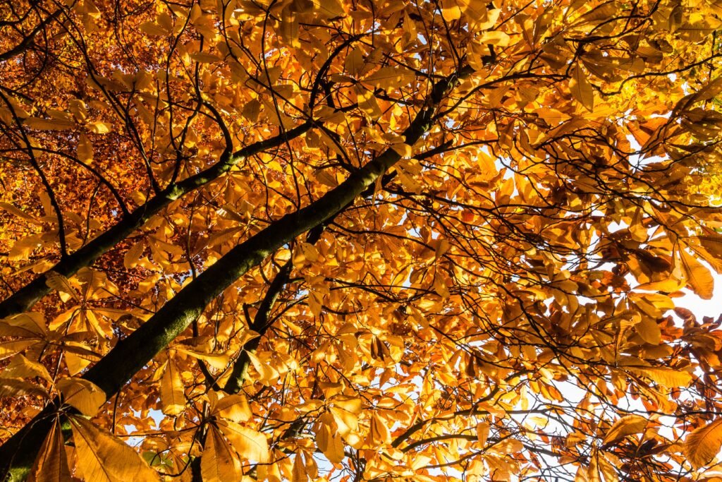 Science Meets Storytelling: 10 Novels that Illuminate the Wonders of Discovery