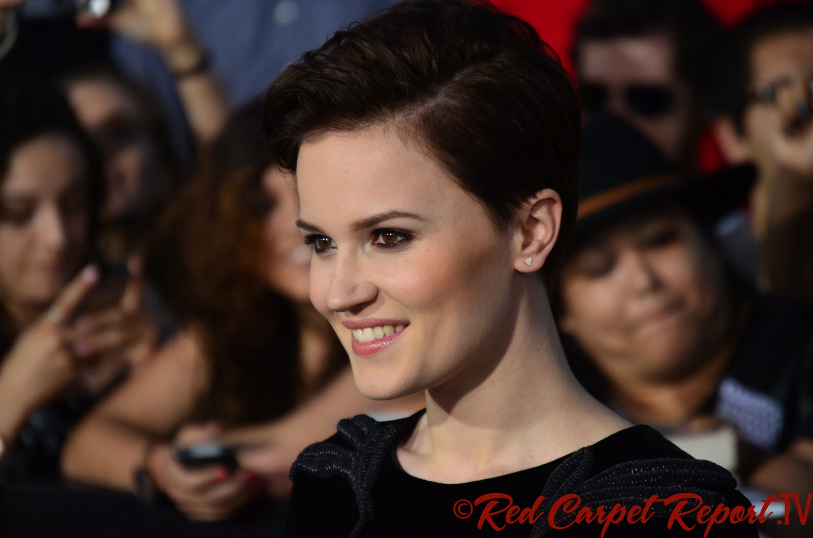Divergent by Veronica Roth (image credits: wikimedia)