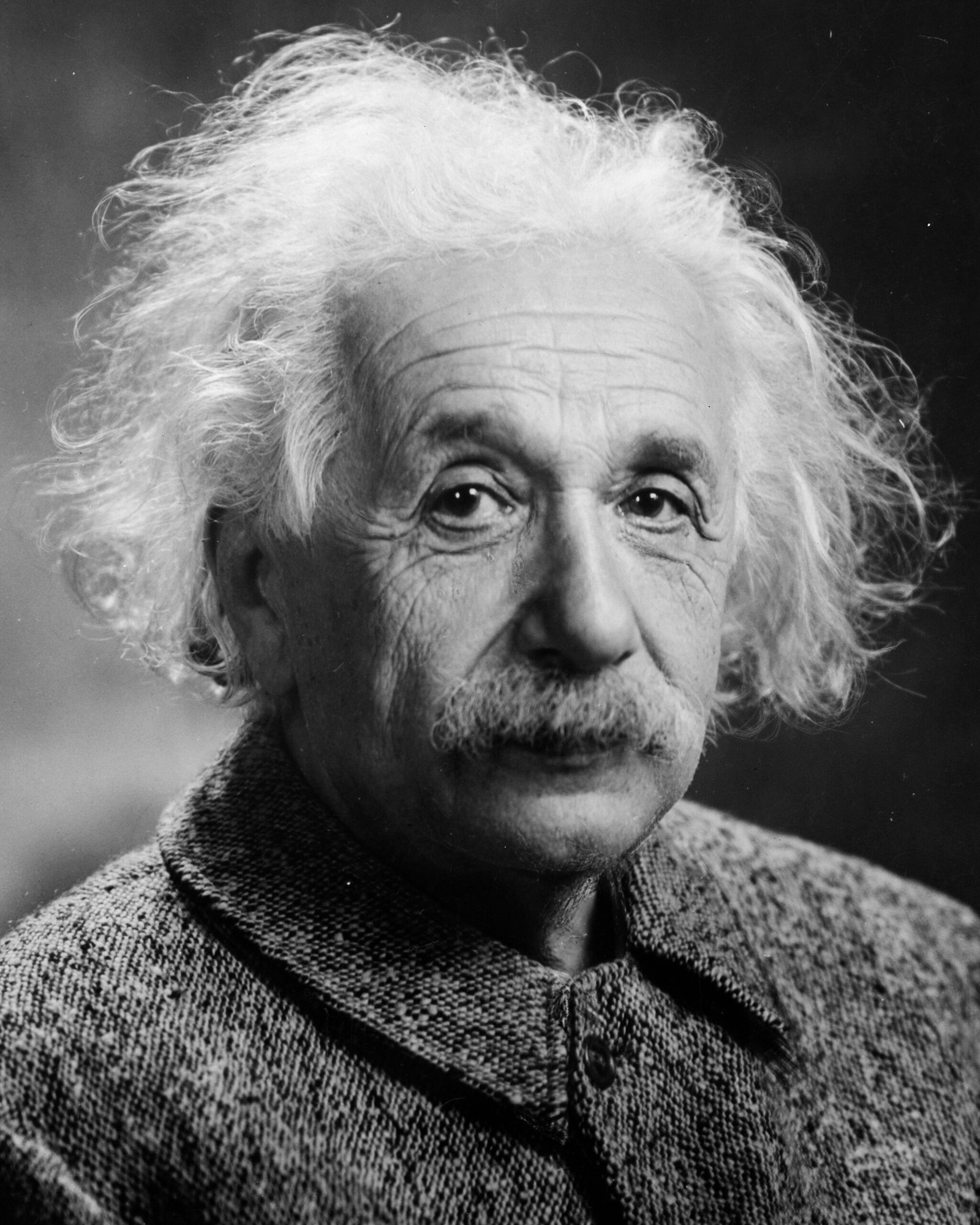 1. Albert Einstein: The Genius Who Redefined Physics (image credits: wikimedia)
