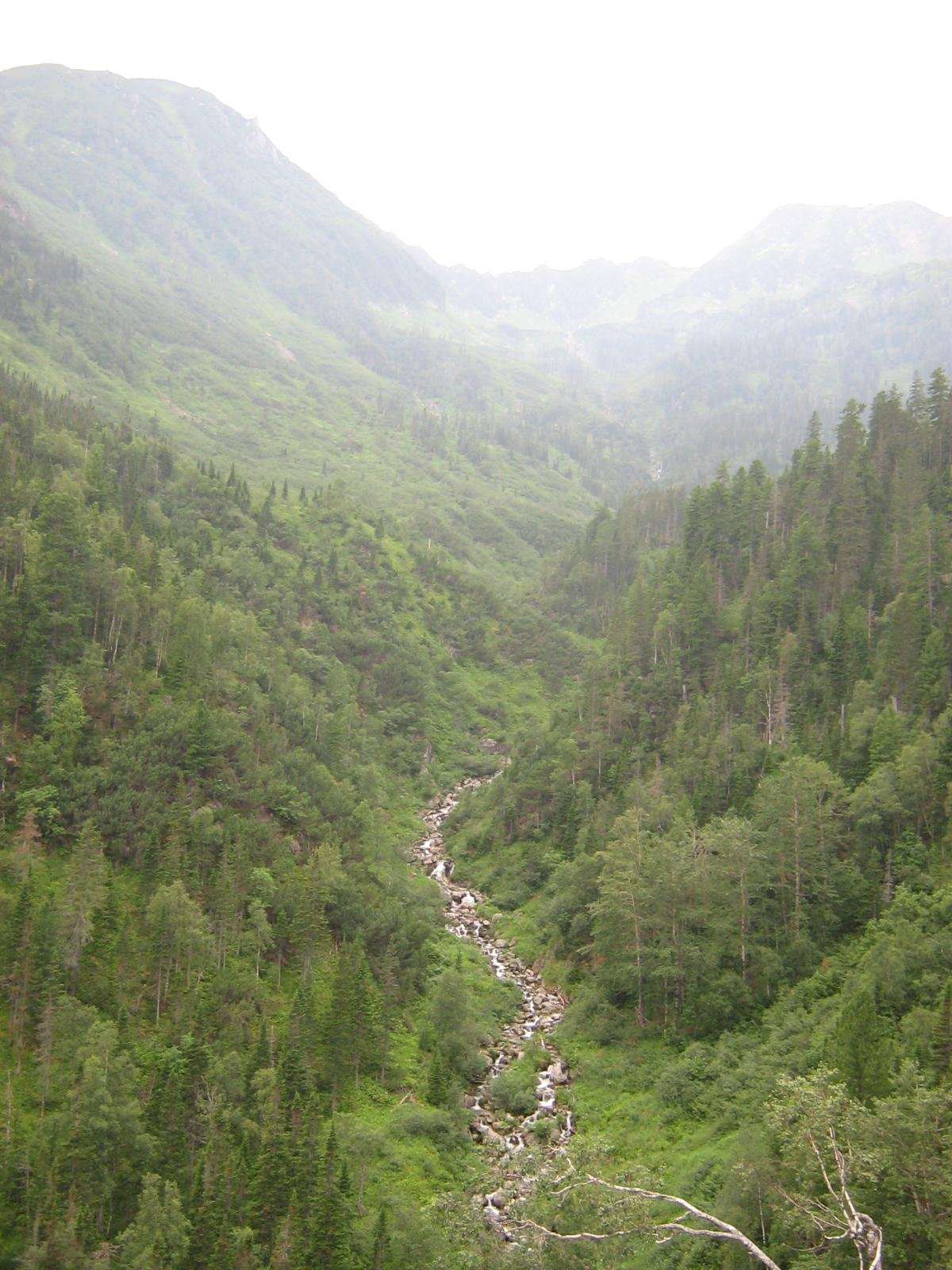 Russia: The Green Colossus of the North (image credits: wikimedia)