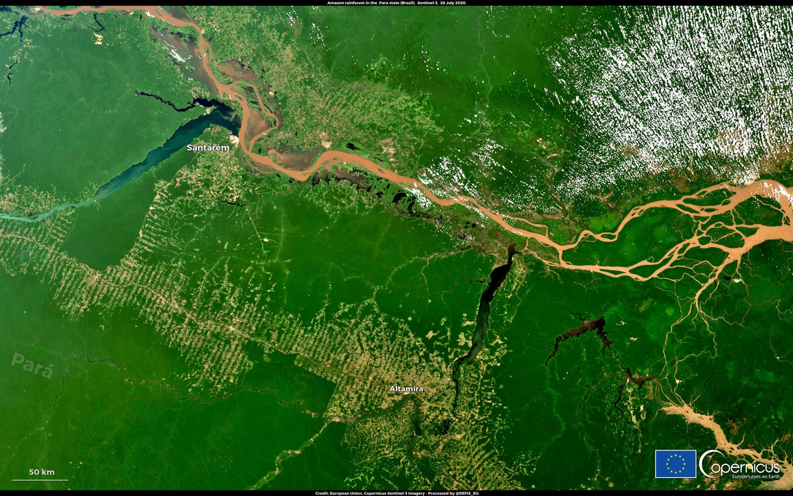 Brazil: The Lush Heartbeat of the Amazon (image credits: wikimedia)