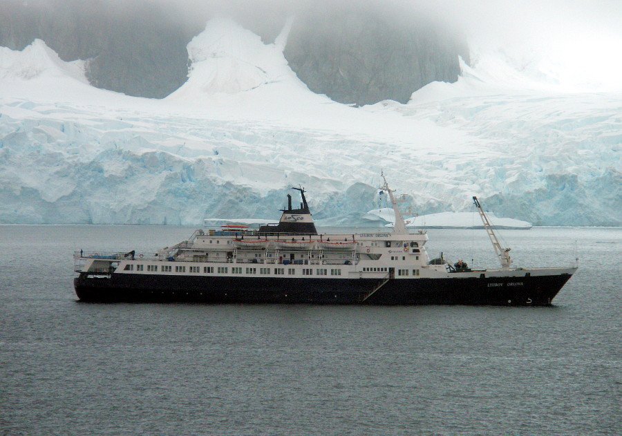 MV Lyubov Orlova (2013): The “Rat Ship” Drifting Toward Europe (image credits: wikimedia)