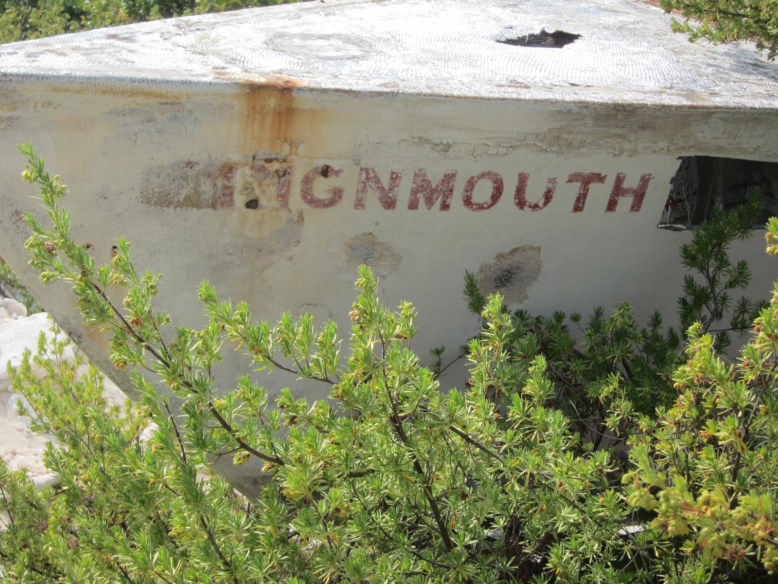 Teignmouth Electron (1969): A Solo Sailor’s Descent Into Madness (image credits: wikimedia)
